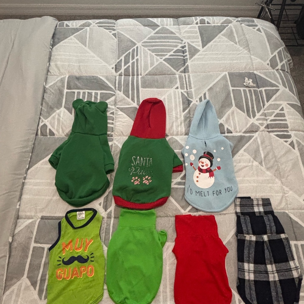 Colorful Dog Hoodies and Outfits size small